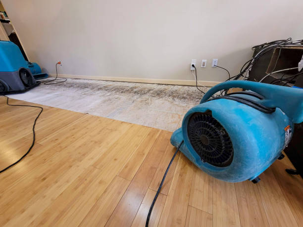 Professional Water Damage Repair technician working in Cherry Fork, OH